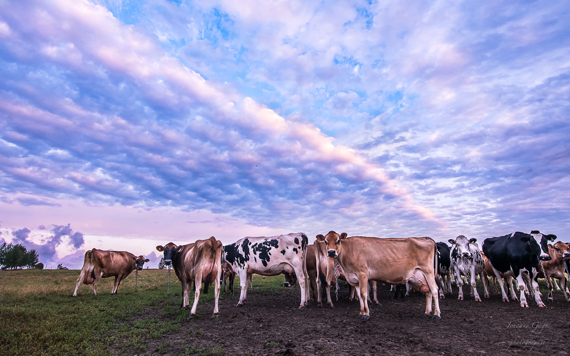 Les dossiers de la FQM - Agriculture